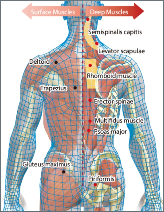 AI creates a 3D image of your body shape and predicts the muscles to focus massage on